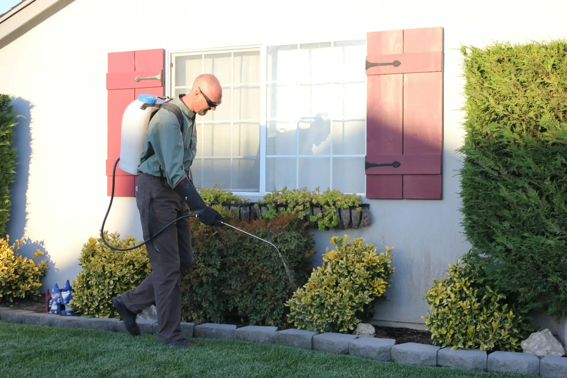 Weed Control & Treatment